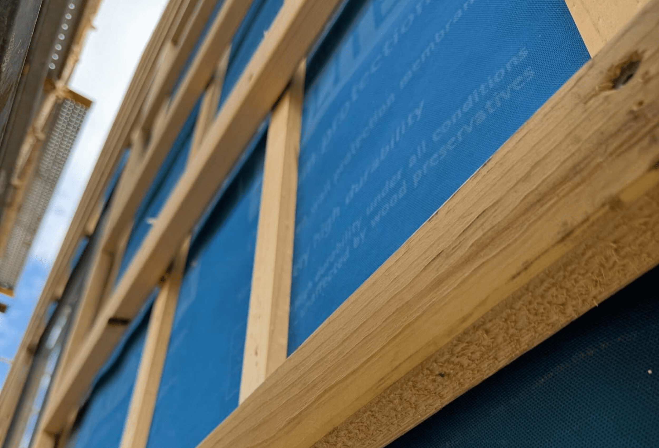 Untitled design - 2025-10-28T131959.082